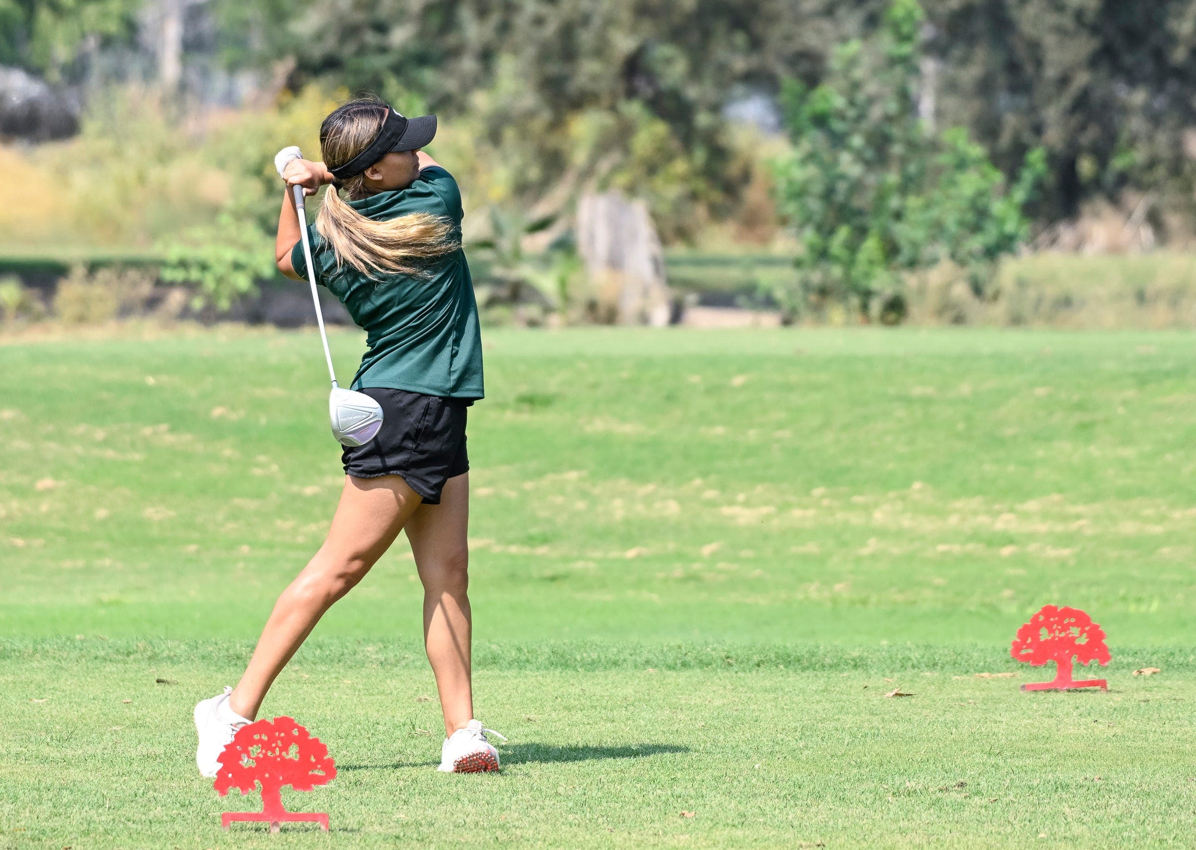 Youth Inc. Recommends: Five Resources for Strength Training and Golf