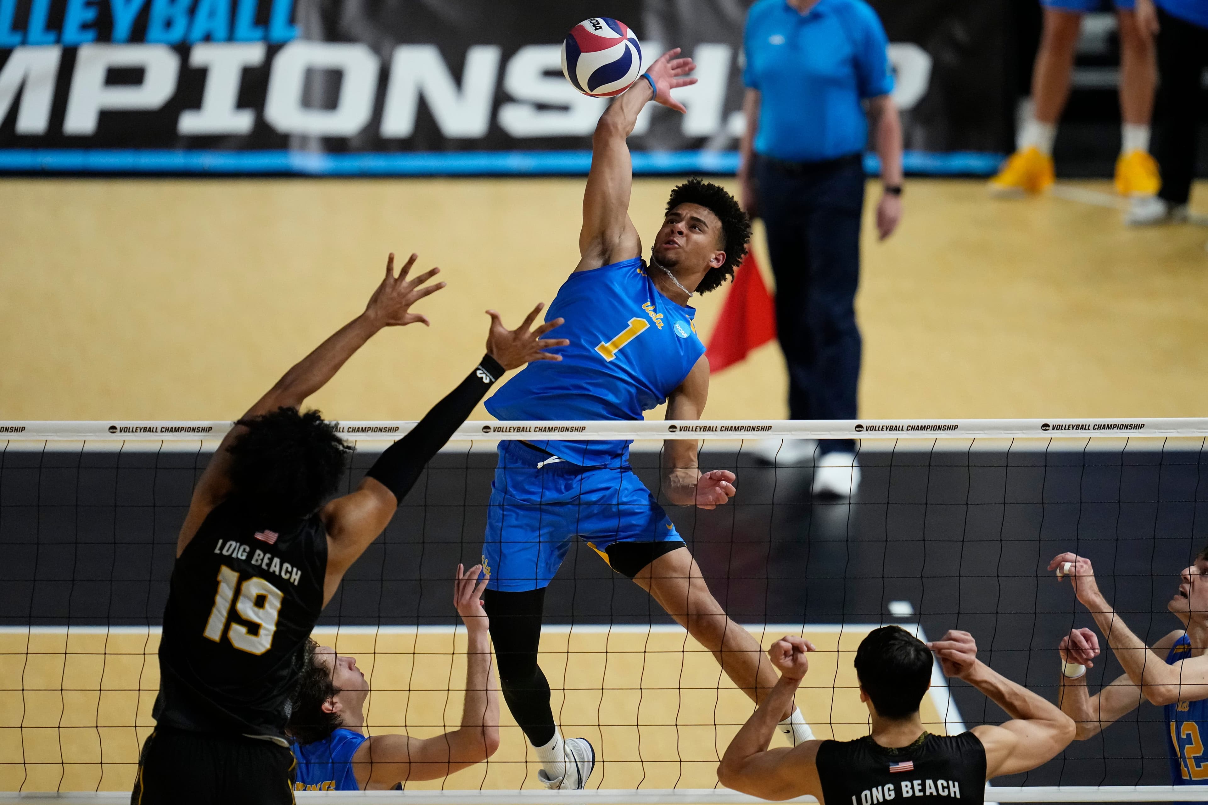 Youth Inc. Recommends: Top Resources About Different Levels of Mens' College Volleyball
