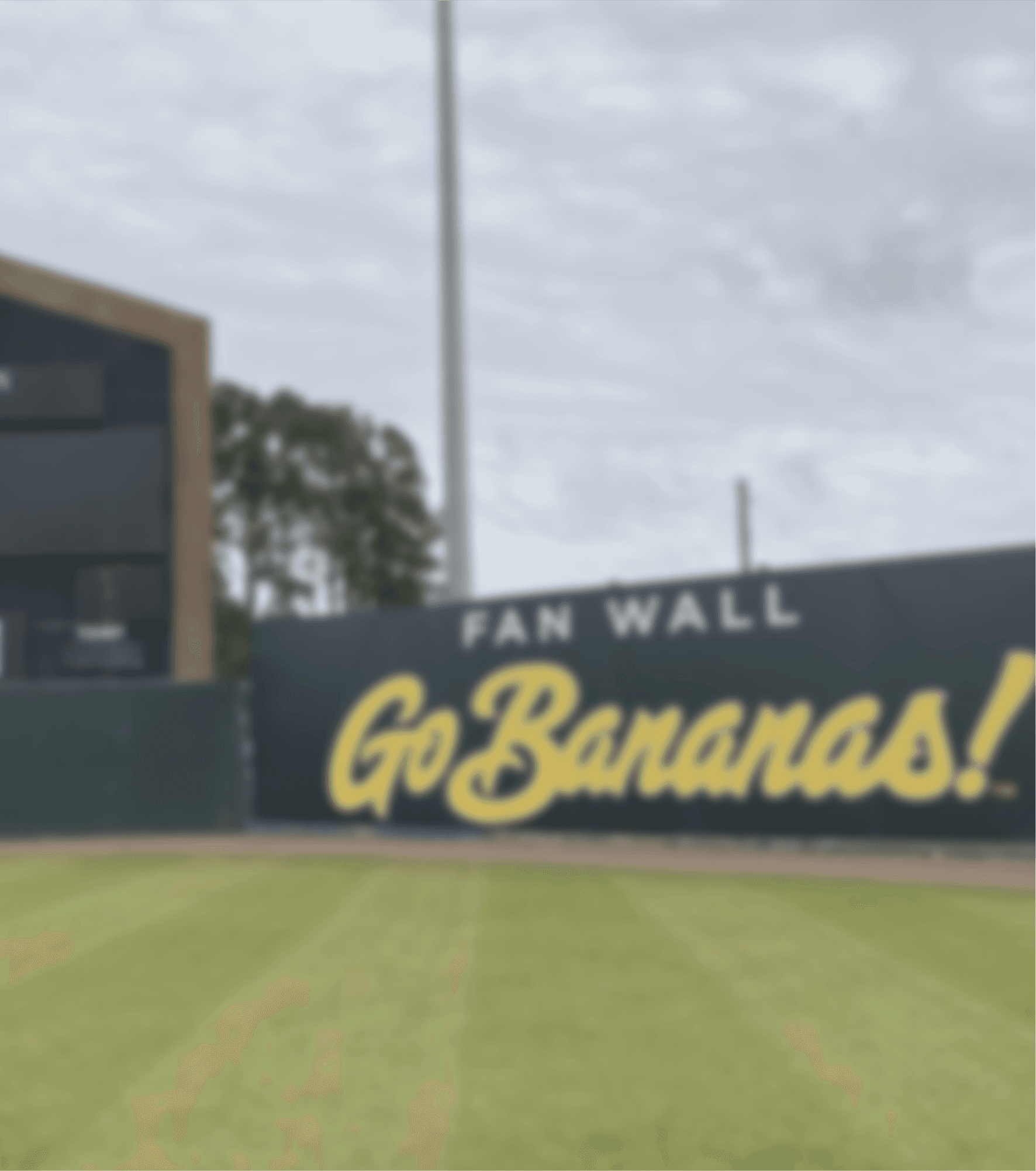 Savannah Bananas Park Background